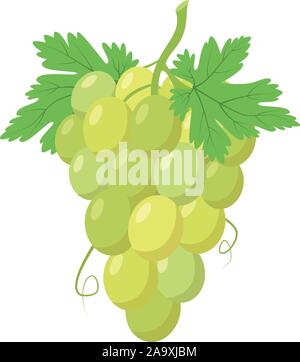 Vector illustration of a funny bunch of green grapes in cartoon style. Stock Vector