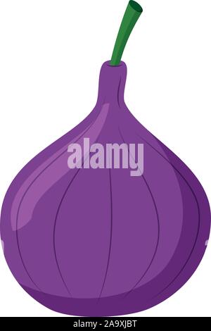 Vector illustration of a funny fig in cartoon style. Stock Vector