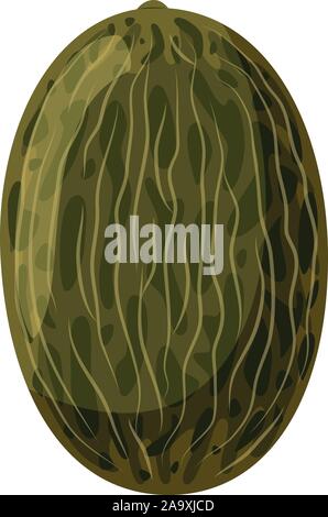 Vector illustration of a funny melon in cartoon style. Stock Vector