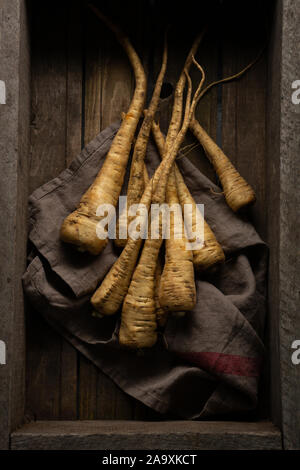 Fresh roots of parsnip top view Stock Photo