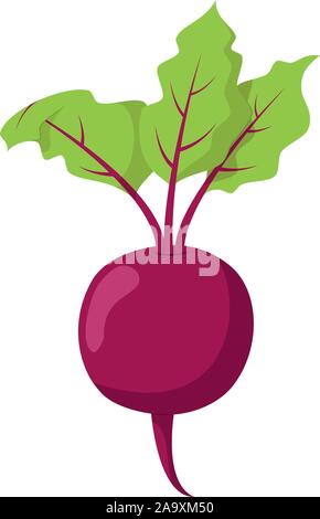 Vector illustration of a funny beet in cartoon style. Stock Vector