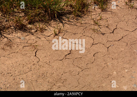cracked dry brown soil with dry grass background as a symbol of global warming, dry soil textured in summer heat Stock Photo