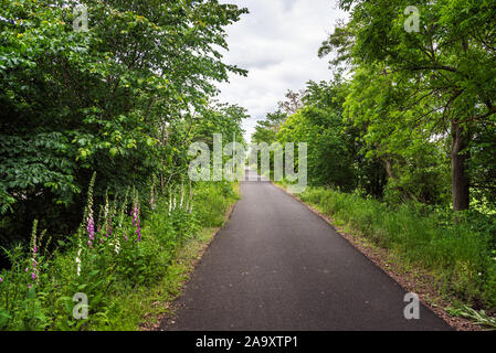 Deserted straigh tree lined path in the countryside on a cloudy spring day Stock Photo