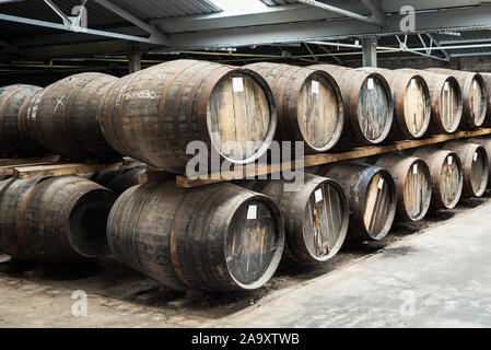 Row of old wooden barrels in a whisky distillery warehouse Stock Photo