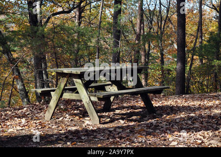 A Wooden Picnic Bench in the forest with fallen leaves on the ground Stock Photo