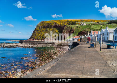 Pennan coastal village, Moray Firth, Aberdeenshire, Scotland UK Stock Photo