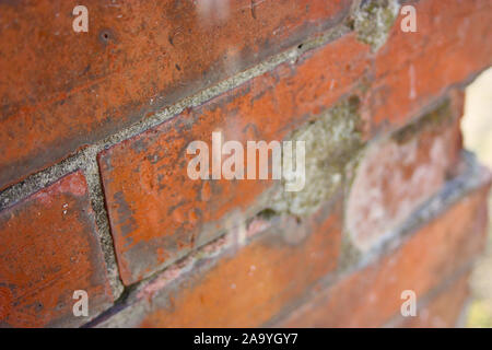 old red brick wall. drop of falling water pushed down by gravity Stock Photo