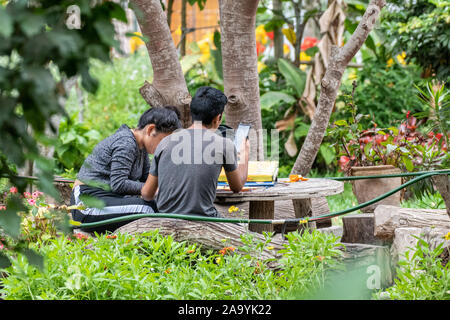 Young latino couple studying using cellphone outdoors in botanic gardens Trujillo Peru Stock Photo