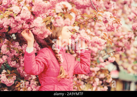 Kid on pink flowers of sakura tree background. Kid enjoying pink cherry blossom. Tender bloom. Pink is the most girlish color. Bright and vibrant. Pink is my favorite. Little girl enjoy spring. Stock Photo