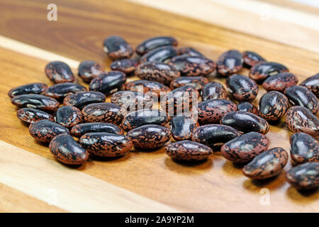 Seeds of the fire bean, phaseolus coccineus Stock Photo