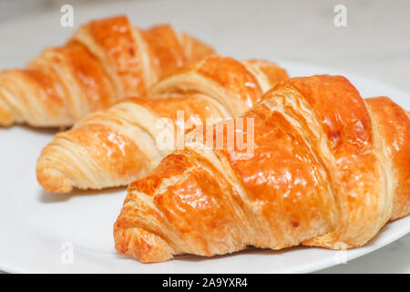 Plain croissant on white background - Image Stock Photo