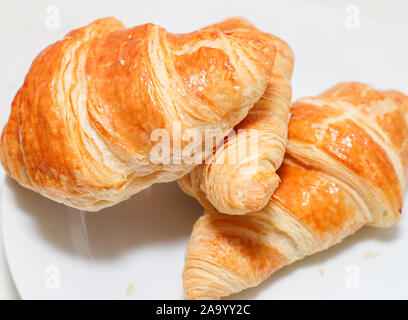 Plain croissant on white background - Image Stock Photo