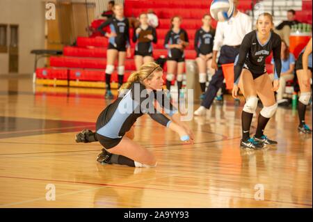 Team members watch as a Johns Hopkins University Women's Volleyball player dives on one knee to hit the ball during a Centennial Conference semifinals match with Franklin and Marshall College, Maryland, November 6, 2010. From the Homewood Photography Collection. () Stock Photo