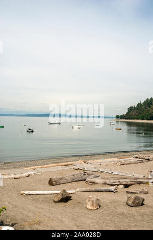 Driftwood on the sand on a beach and boats moored out in the water in West Seattle, Washington. Stock Photo