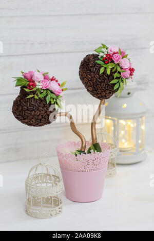 A coffee tree. Ornamental tree. Topiary. Wedding Decoration and Lantern Stock Photo