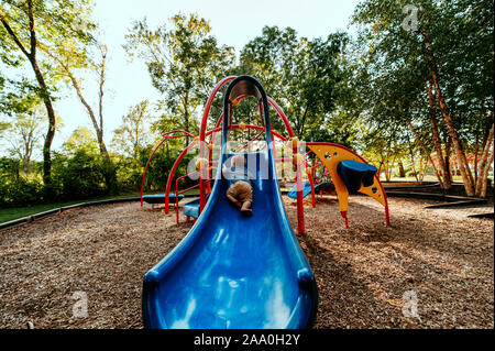 Baby boy climbing slide at a park with lots of trees and sunlight. Stock Photo