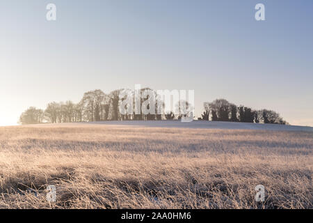 Magog Down Cambridge on a very cold January morning in winter. Stock Photo