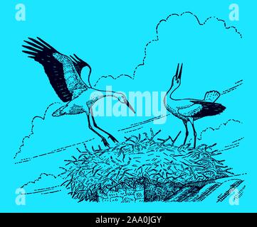 Two white storks (ciconia ciconia) sitting on a nest on a chimney top, on a blue background. Editable in layers Stock Vector