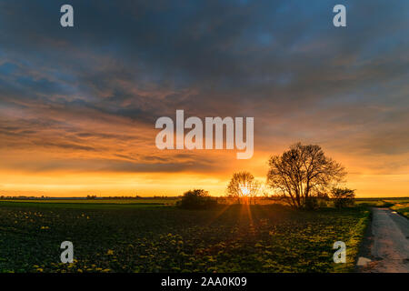 The sun sets behind a group of trees in the wide open Dutch countryside. Clouds in the western sky are beautifully colored by the setting sun. Stock Photo