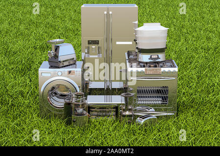 Kitchen and home appliances on the green grass, 3D rendering Stock Photo