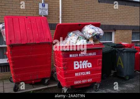 Aberystwyth Ceredigion/UK November 13 2019: Overflowing large recycling bins waiting for collection outside student halls of residence Stock Photo