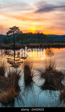 National Trust Churt Common Stock Photo