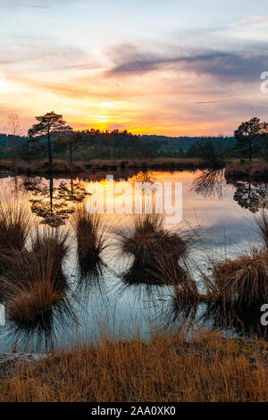 National trust Frensham Common Stock Photo