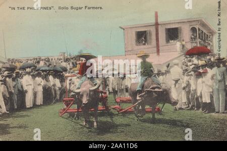 Illustrated postcard of Iloilo sugar farmers riding water buffaloes in an agricultural exhibit, demonstrating sugar production with a crowd of people looking on, Iloilo, Luzon Island, the Philippines, by photographer Burr McIntosh, published by H. Hagemeister Co, 1905. From the New York Public Library. () Stock Photo