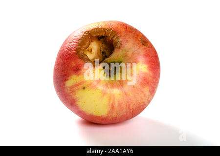 ripe apple bited by insect on white with clipping path Stock Photo