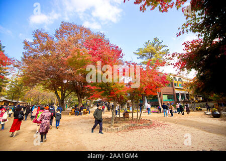 NAMI ISLAND, S. KOREA - OCTOBER 27, 2019: Beautiful landscape inside Nami island where thousands of tourists coming to visit this place every to enjoy Stock Photo