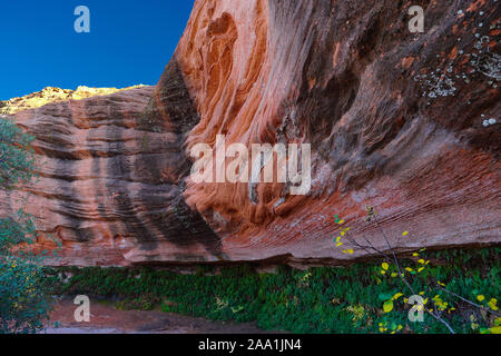 The amazing colors of a sandstone grotto around Lake Powell in Northern Arizona. Stock Photo