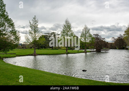 Lake in the park lined by trees in leaf on lush green grass Stock Photo