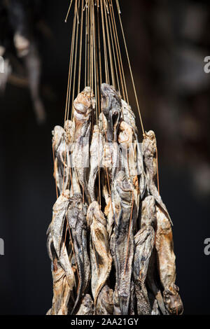 Dried goby fish hangs vertically. Taranka. Fish market Stock Photo