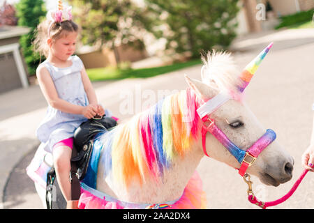 Little girl riding a unicorn at the little girl birthday party. Stock Photo