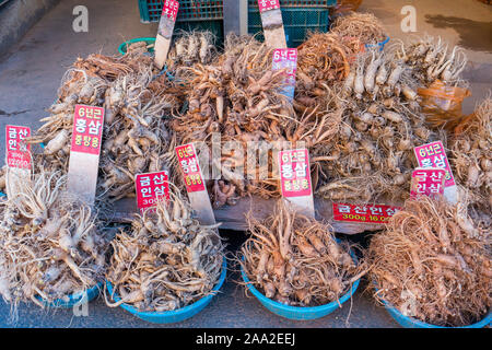Seoul, South Korea . November 2019 - Gyeongdong Kyungdong   Market, the largest herbal medicine and ginseng markets of South Korea. Stock Photo