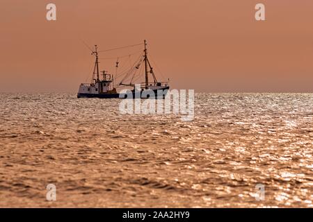 Fishing cutter on the North Sea at sunset, Sankt Peter-Ording, North Frisia, Schleswig-Holstein, Germany Stock Photo