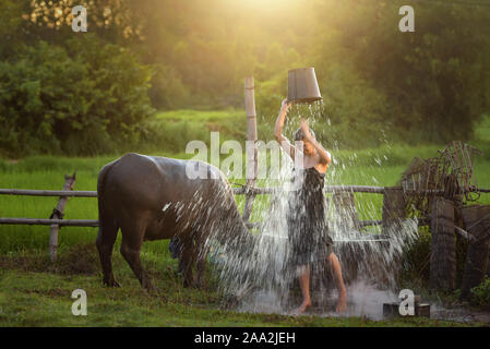 Woman standing in a field pouring a bucket of water over her head, Thailand Stock Photo