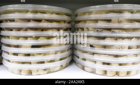 Pile of plastic boxes with herring in a supermarket Stock Photo
