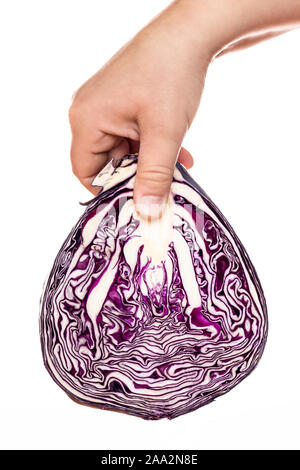 A hand holding a red cabbage. White background. Half a cabbage. Fresh vegetables. Salad products. Healthy food. Vegan cuisine. Stock Photo