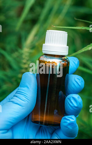 Scientist holding CBD cannabis oil bottle in cultivated marijuana field, close up of hand with cannabidoil, selective focus Stock Photo