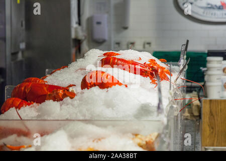 cooked lobsters on ice at Chelsea Market, New York City, United States of America. Stock Photo