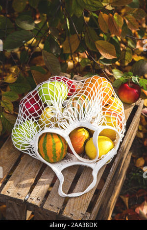Ripe seasonal apples and pumpkins in a white cotton string bag on an old wooden box in an autumn garden under yellow leaves. Eco lifestyl concept. Stock Photo