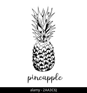 Pineapple vector illustration isolated on white background Stock Vector ...