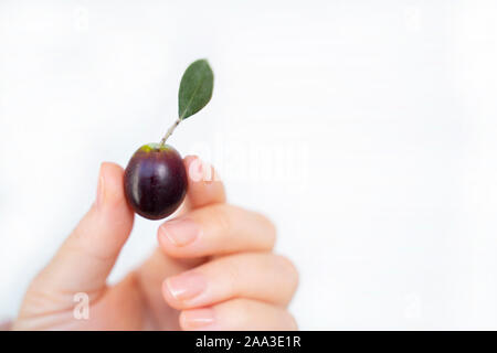 woman holding one olive isolated on white background Stock Photo