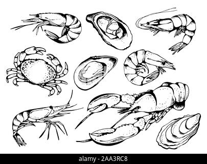 Seafood vector set, food vector collection in sketch style isolated on white background: lobster, crab, shrimps, oysters, mussel Stock Vector