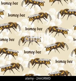 Honey bee and honeycombs color vector seamless pattern in engraving style on beige background Stock Vector