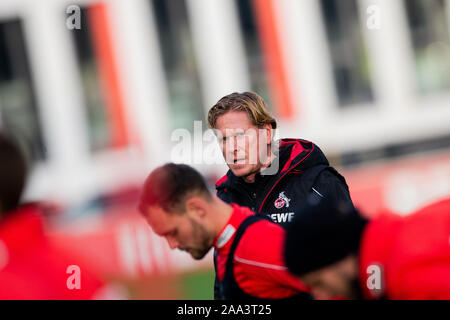 Cologne, Germany. 19th Nov, 2019. Soccer: Bundesliga, Training 1st FC Cologne, Geißbockheim. Markus Gisdol, new trainer, leads his first training. Credit: Rolf Vennenbernd/dpa/Alamy Live News Stock Photo