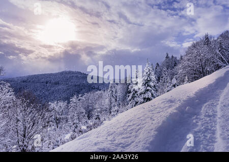 Carpathian mountains and forest under heavy snow. Footpath in the snow at foreground. Sun is shining through gap in clouds and it is snowing at the sa Stock Photo