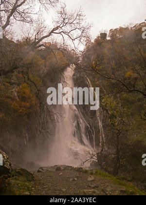 Aber Falls Waterfall in full flood after days of heavy rain Coedydd Aber National Nature Reserve Abergwyngregn Gwynedd North Wales UK, Stock Photo