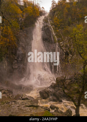 Aber Falls Waterfall in full flood after days of heavy rain Coedydd Aber National Nature Reserve Abergwyngregn Gwynedd North Wales UK, Stock Photo